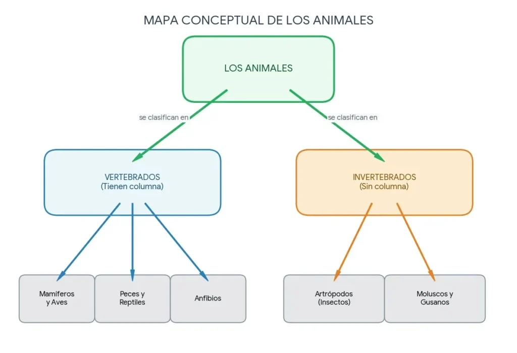 Mapa conceptual de los animales