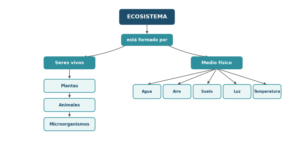 Mapa conceptual para el ecosistema