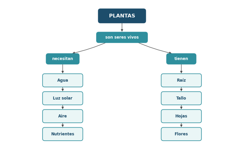 Mapa conceptual para plantas